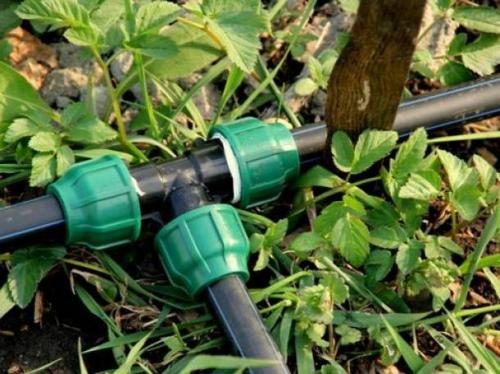 Водопровод на даче из пластиковых труб. Особенности планирования дачного водопровода