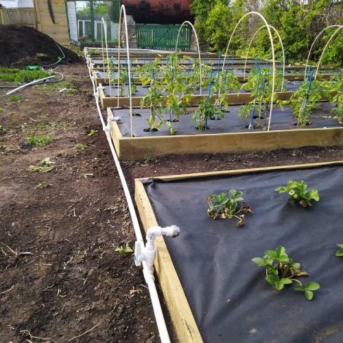 Как сделать полив на даче из пластиковых труб. Про автополив из пп труб