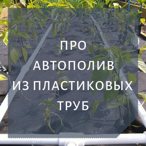 Как сделать полив на даче из пластиковых труб. Про автополив из пп труб