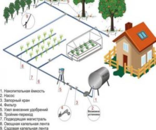 Трубы и фитинги для полива. Разновидности дачного орошения