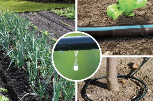 Капельный полив из шланга своими руками. Как сделать капельный полив своими руками