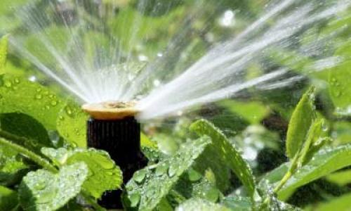 Приспособления для полива на даче. Дождевание