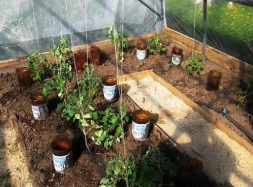 Капельный полив своими руками для дачи без затрат сделай сам. Как сделать капельный полив для сада и огорода из пластиковых бутылок