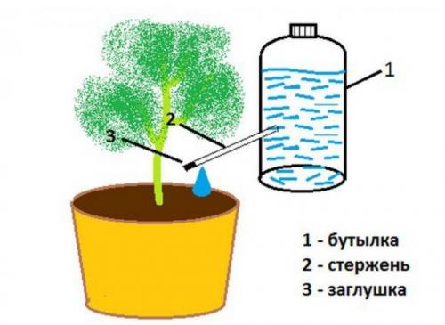 Капельный полив своими руками для дачи без затрат сделай сам. Как сделать капельный полив для сада и огорода из пластиковых бутылок