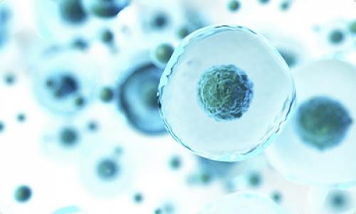 Методы для очистки питьевой воды. Механический способ 12