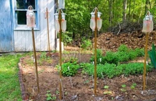 Система капельного полива своими руками. Виды капельного полива