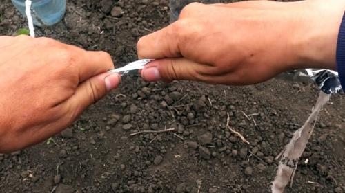 Капельный полив из бутылок. Процесс изготовления и установки капельного полива