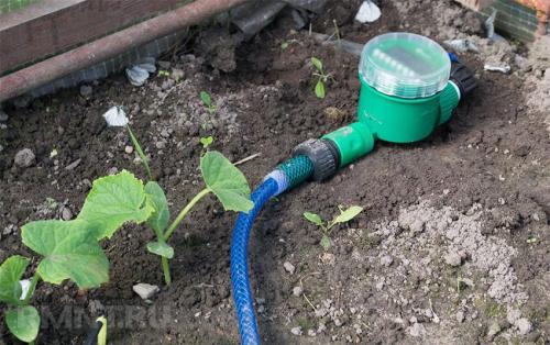 Система капельного полива своими руками. Виды капельного полива 08