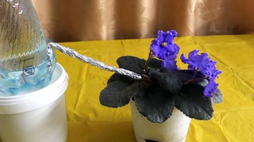 Капельный полив из бутылки с поролоном. Процесс изготовления и установки капельного полива