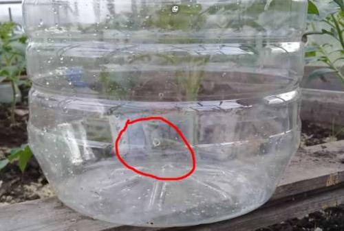 Система полива на даче своими руками из пластиковых бутылок. Капельный полив для дачи своими руками из пластиковых бутылок 05