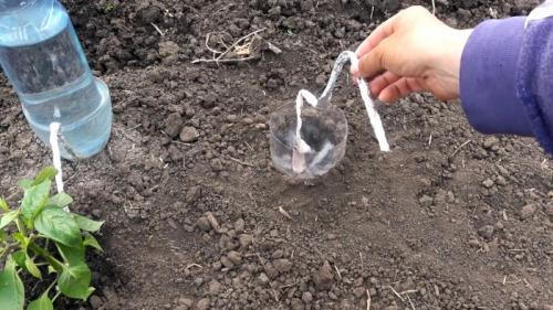 Капельный полив из бутылки с поролоном. Процесс изготовления и установки капельного полива