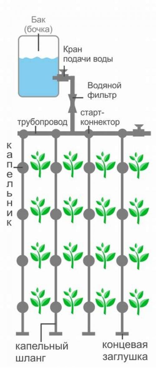Как сделать бюджетную систему полива своими руками. Как сделать капельный полив в теплице своими руками: устройство и преимущества системы 02