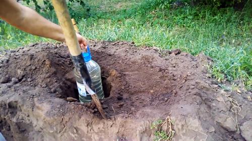 Как сделать капельный полив из бутылок. Изготовление и регулировка капельного полива