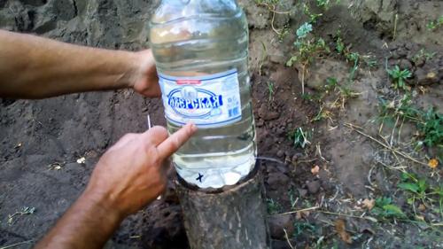 Как сделать капельный полив из бутылок. Изготовление и регулировка капельного полива