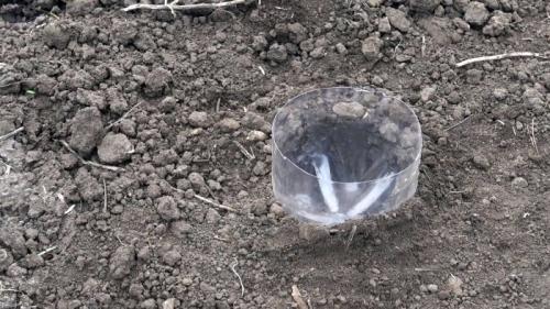 Капельный полив из бутылок для клубники. Процесс изготовления и установки капельного полива