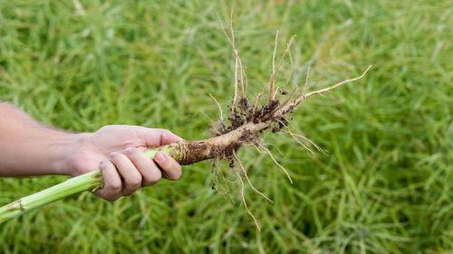 Как сделать подземную систему полива. Особенности установки конструкции 03