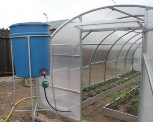 Система полива теплицы. Пошаговая инструкция, как сделать автополив для теплицы: виды систем, какую выбрать, особенности устройства, схемы и расчеты