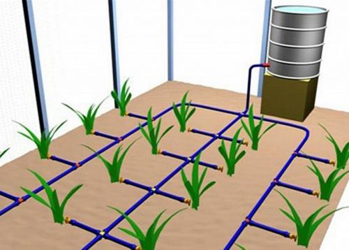 Простейший капельный полив своими руками. Капельный полив своими руками. Преимущества и недостатки