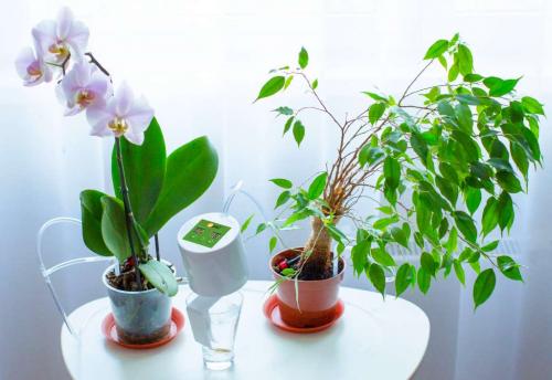 СИСТЕМА автоматического полива ОТ А ДО.. Устройство автоматического полива 01 СИСТЕМА автоматического полива ОТ А ДО.. Устройство автоматического полива 01