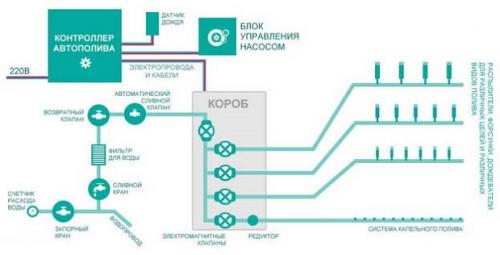 Как сделать качественный автополив газона на даче. Разработка схемы полива газонного участка дождевателями