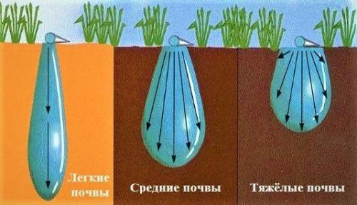 Лучшие системы капельного полива на 2023 год. Обзор 7-ми лучших систем капельного полива. Рейтинг по отзывам пользователей 02 Лучшие системы капельного полива на 2023 год. Обзор 7-ми лучших систем капельного полива. Рейтинг по отзывам пользователей 02