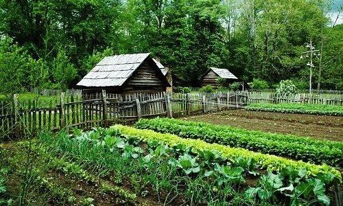 Насос Агидель-м не качает воду из скважины. Модельный ряд и производители 01