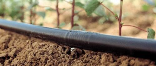Капельный полив самотеком. Капельный полив самотёком: выбор оборудования и монтаж
