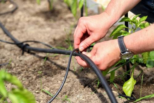 Инструкция по монтажу и эксплуатации капельного полива. Устройство системы капельного полива 01 Инструкция по монтажу и эксплуатации капельного полива. Устройство системы капельного полива 01