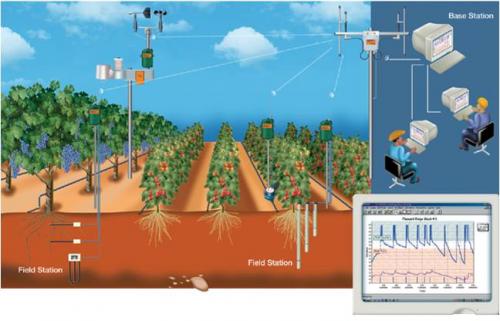 Капельное орошение израиль. Системы капельного полива. Израильские технологии.