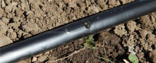 Капельный полив из бочки самотеком. Капельный полив самотёком: выбор оборудования и монтаж