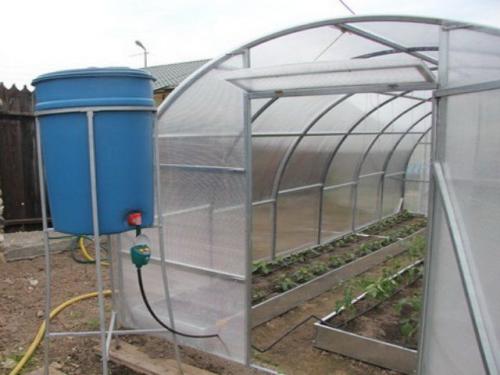 Капельный полив для теплицы 8 метров. Что из себя представляют системы капельного полива?