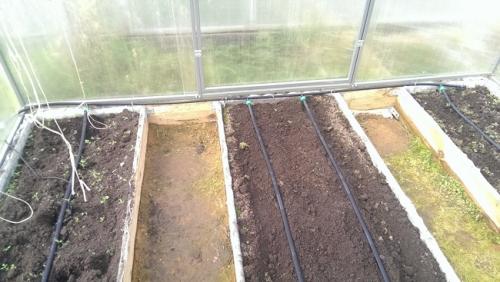 Автоматическая система полива для огорода. Капельный полив