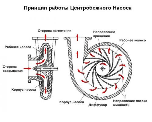 Насосы отличия. Чем отличается центробежный насос от вихревого?