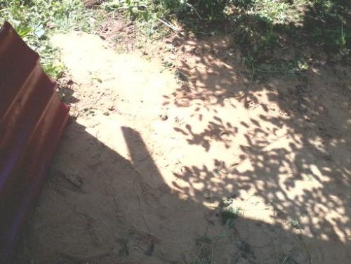 Слив из раковины на даче. Как сделать слив воды из раковины на даче