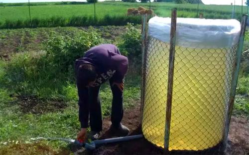 Автоматические системы полива. Принципы построения системы автополива