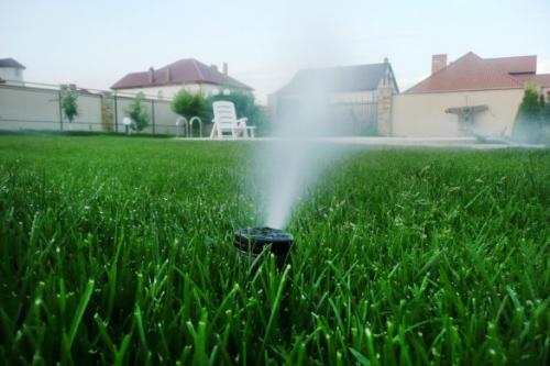 Капельный полив своими руками из шланга. Капельный полив: капельницы, спринклеры, микроразбрызгиватели