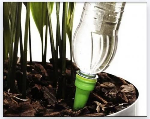 Автополив своими руками для комнатных растений. Виды автополива