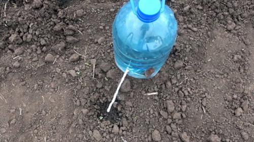 Автополив своими руками из бутылок. Процесс изготовления и установки капельного полива