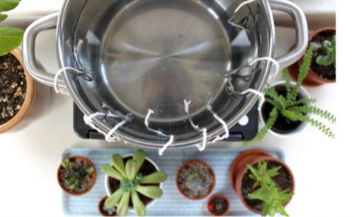 Возможно ли собрать систему автополива своими руками. Частые вопросы 05