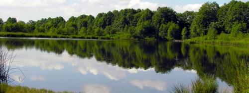 Мутная вода в скважине не прокачивается. Причины помутнения водной среды 02 Мутная вода в скважине не прокачивается. Причины помутнения водной среды 02